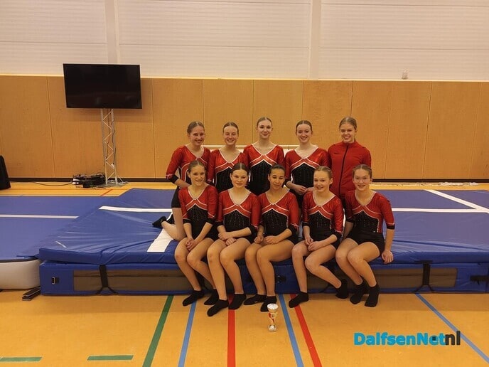 Turnsters Gym Ver. Nieuwleusen Nederlands kampioen - Foto: Ingezonden foto