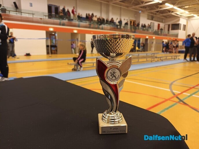 Turnsters Gym Ver. Nieuwleusen Nederlands kampioen - Foto: Ingezonden foto