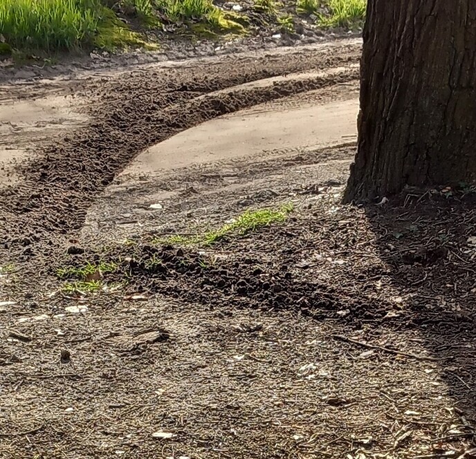 Net herstelde zandwegen vernield - Foto: Ingezonden foto