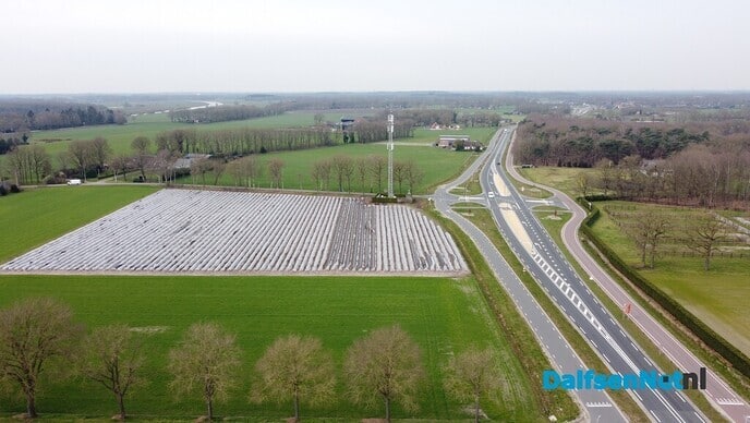 Aspergeseizoen in volle gang bij Tuinderij van der Kolk - Foto: Johan Bokma
