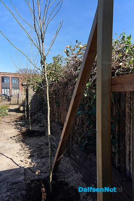 Heintje loopt stage bij Groene Jopie - Foto: Paul Scholten