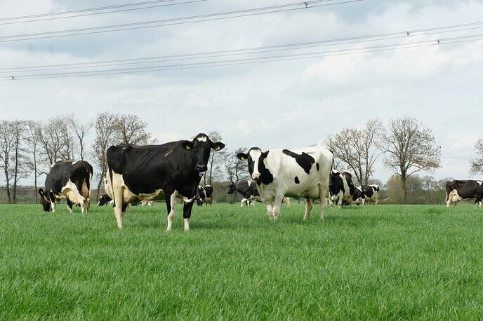 Actie ‘ Met opgeruimde blik’ - Foto: Ingezonden foto