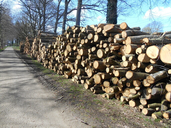 Heel veel hout - Foto: Eigen geleverde foto