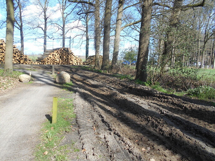 Heel veel hout - Foto: Eigen geleverde foto