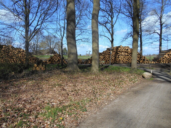 Heel veel hout - Foto: Eigen geleverde foto