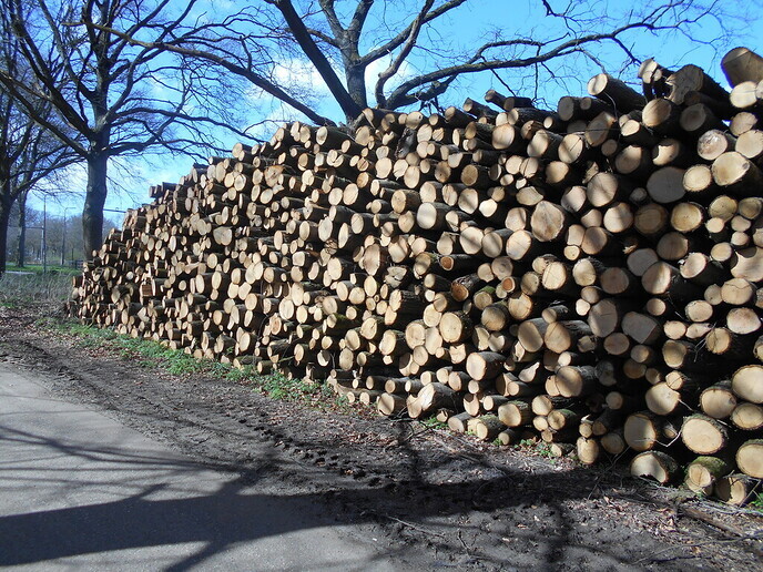 Heel veel hout - Foto: Eigen geleverde foto