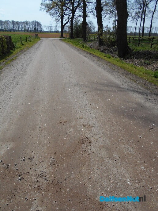 Gemeente Dalfsen heeft zelf ook een lintje verdiend - Foto: Willy