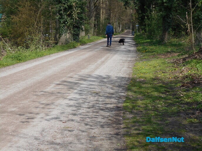 Gemeente Dalfsen heeft zelf ook een lintje verdiend - Foto: Willy