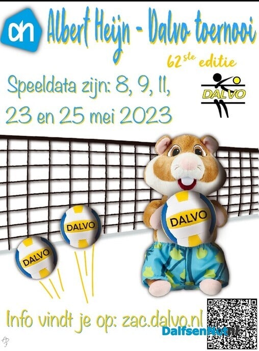 Programma Dalvo volleybaltoernooi staat online - Foto: Ingezonden foto