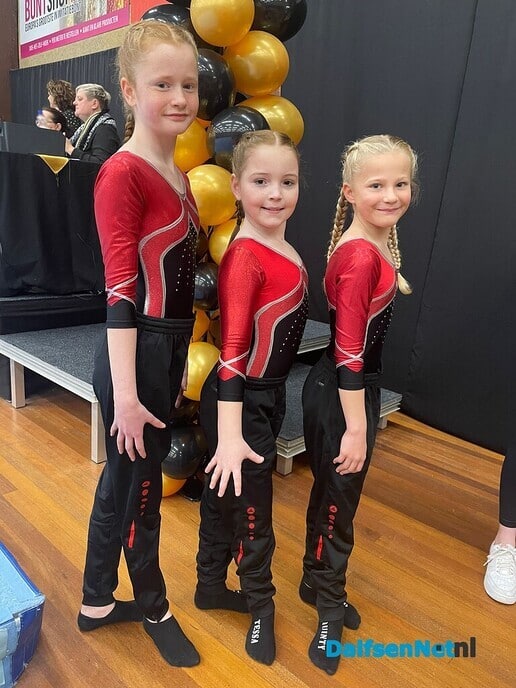 Prijzenregen voor turnsters gym ver. Nieuwleusen - Foto: Ingezonden foto