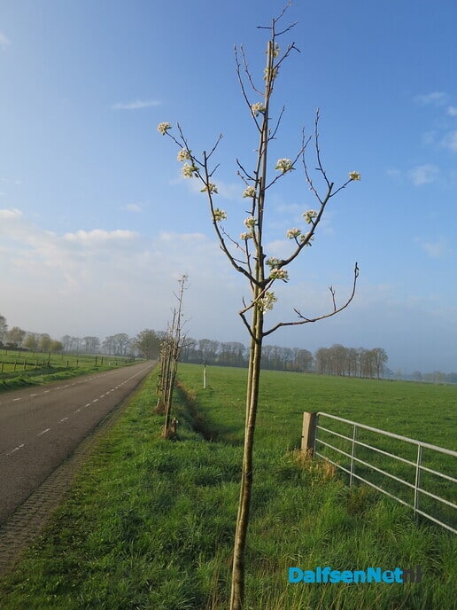 Een zonnig rondje Hoonhorst - Foto: Wim