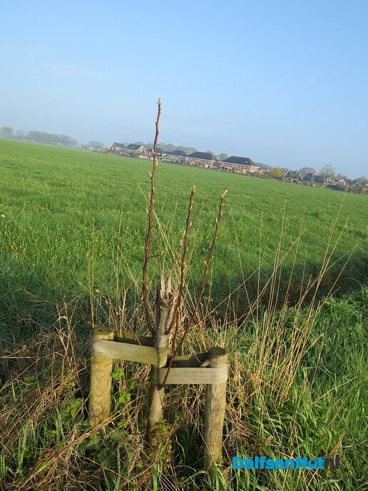 Een zonnig rondje Hoonhorst - Foto: Wim