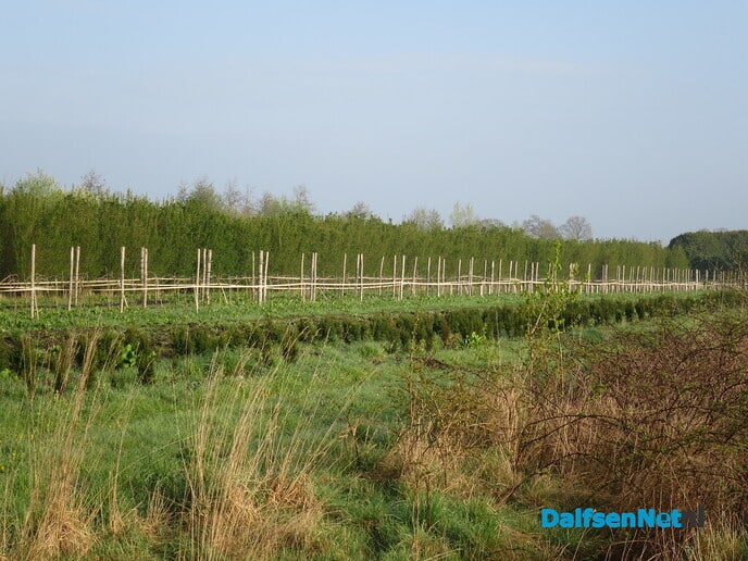 Een zonnig rondje Hoonhorst - Foto: Wim