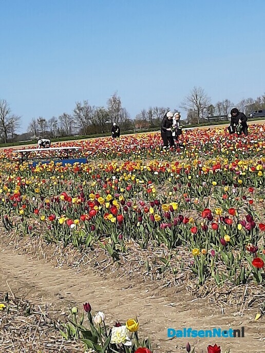 Met de Zonnebloem naar de pluktuin - Foto: Ingezonden foto