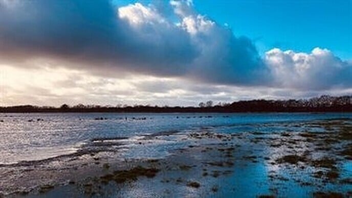 Start groeiseizoen– grondwaterstand iets boven gemiddeld - Foto: Ingezonden foto