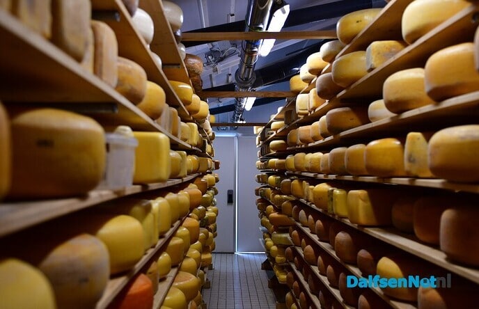 Eerste graskaas aangesneden bij kaasboerderij Heileuver - Foto: Johan Bokma