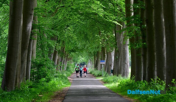 Wandelevenement de groene Looper fantastisch verlopen - Foto: Johan Bokma