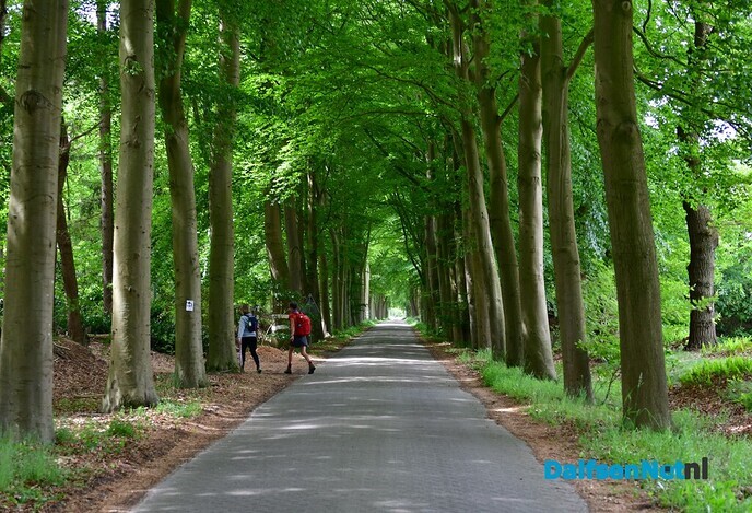 Wandelevenement de groene Looper fantastisch verlopen - Foto: Johan Bokma