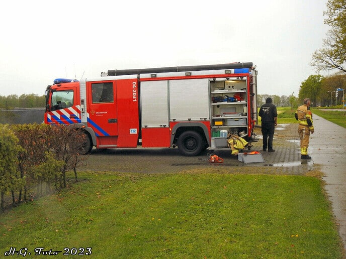 Blikseminslag in boom