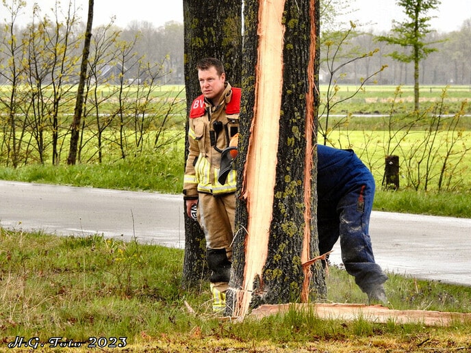 Blikseminslag in boom