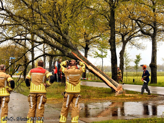 Blikseminslag in boom