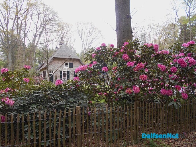 Een plaatje zo met die bloemen