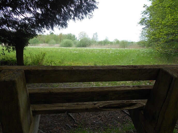 Natuur - Foto: Ingezonden foto