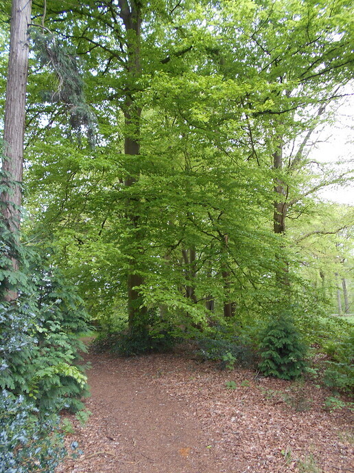 Natuur - Foto: Ingezonden foto