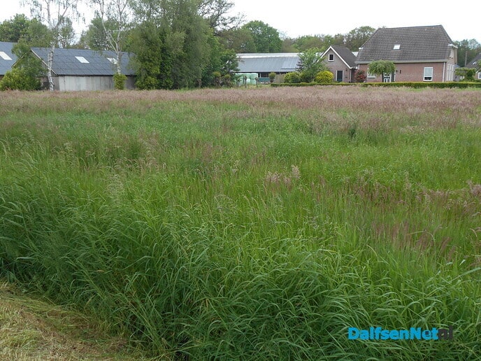 Zelf graszaad kweken?
