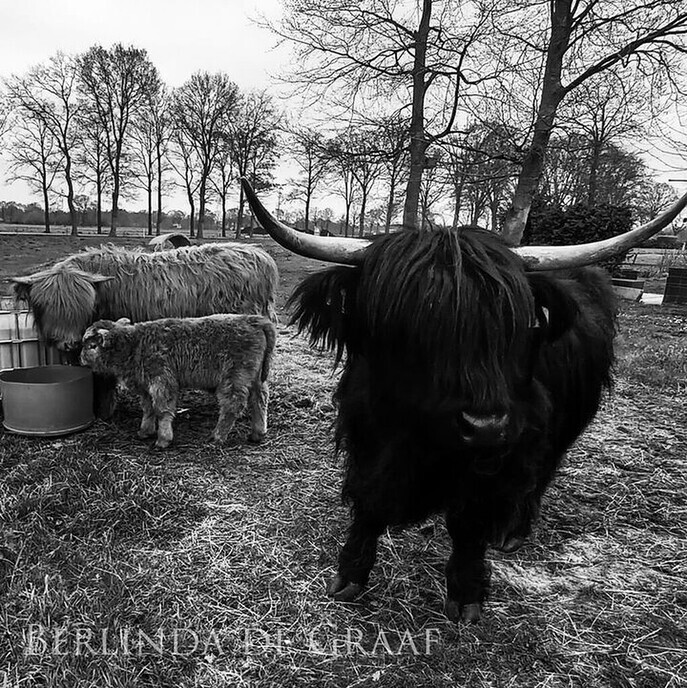 “De wereld is ziek…” - Foto: Ingezonden foto