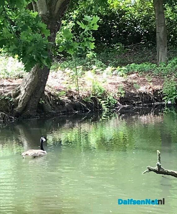 Het is wel heel mooi op De Horte ….. - Foto: Willie uut Hessum