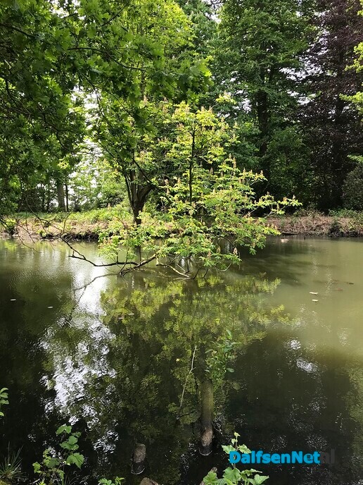 Het is wel heel mooi op De Horte ….. - Foto: Willie uut Hessum