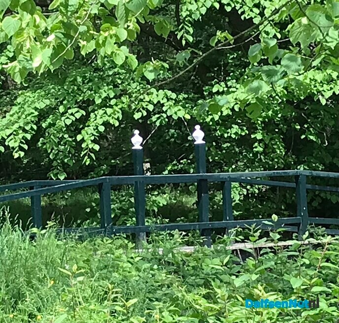 Het is wel heel mooi op De Horte ….. - Foto: Willie uut Hessum