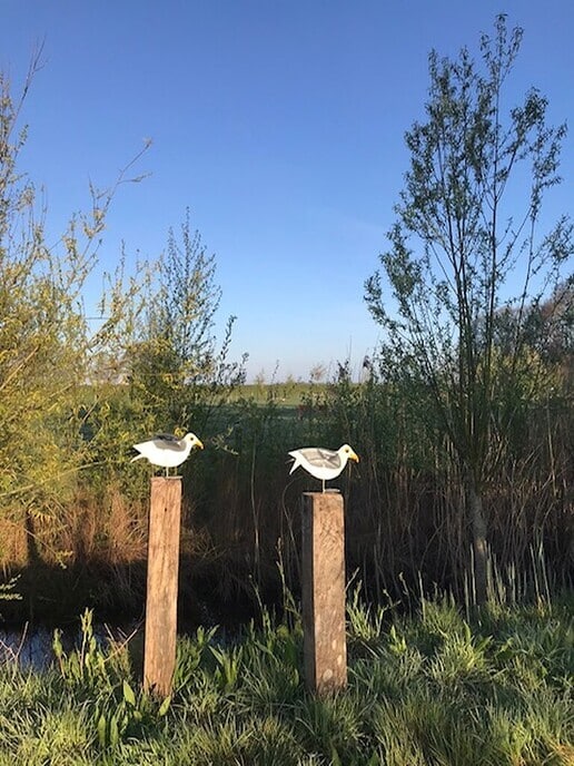 Zomerexpositie bij Buitenplaats de Broekhuizen - Foto: Ingezonden foto