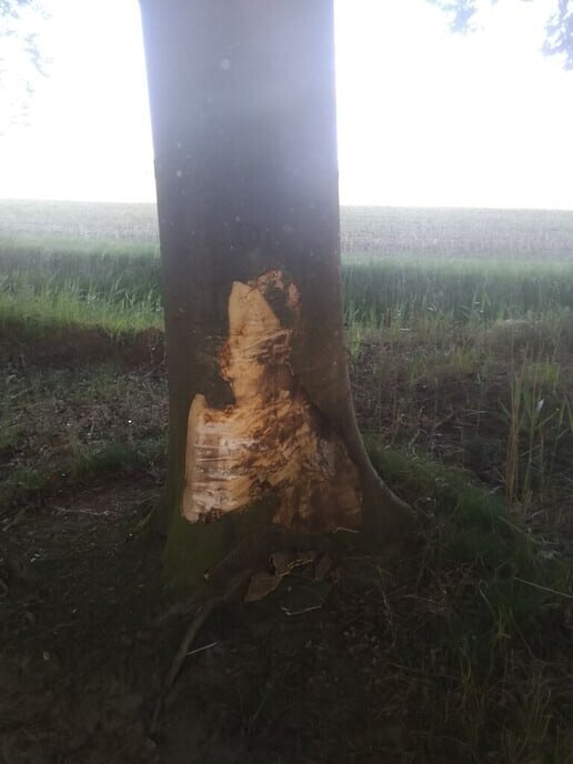 Einde verharding: Boem! - Foto: Ingezonden foto
