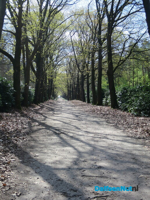 Wandeling over het landgoed de Sprengenberg - Foto: Wim