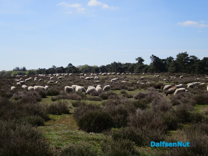 Wandeling over het landgoed de Sprengenberg - Foto: Wim