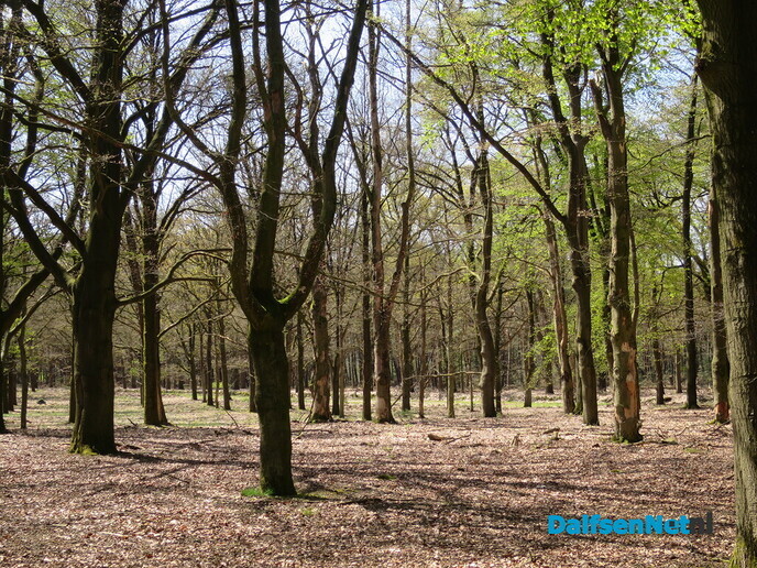 Wandeling over het landgoed de Sprengenberg - Foto: Wim