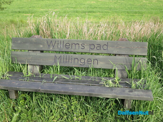 De natuur aan het Willemspad - Foto: Wim