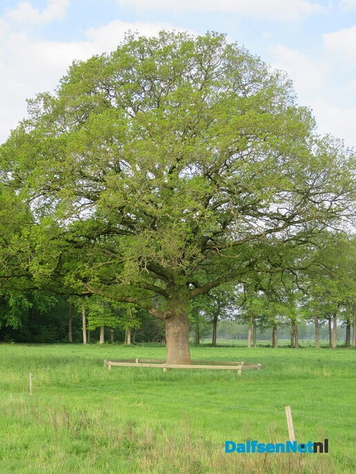 De natuur aan het Willemspad - Foto: Wim