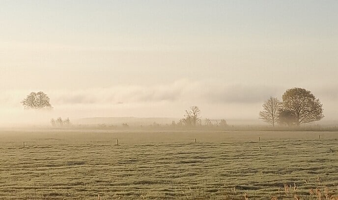 Er was “Mooie mist” vanochtend - Foto: Ingezonden foto