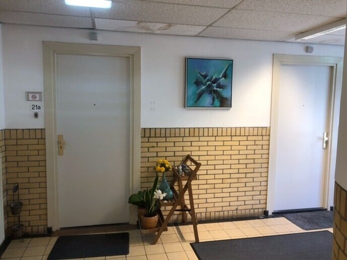 Expositie in ‘de Olmen’ te Nieuwleusen - Foto: Ingezonden foto