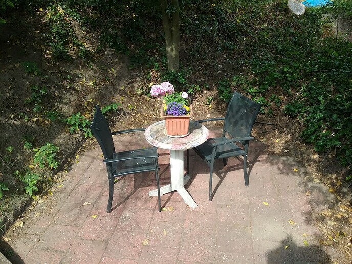 Vrolijke boel daar bij Anton - Foto: Ingezonden foto