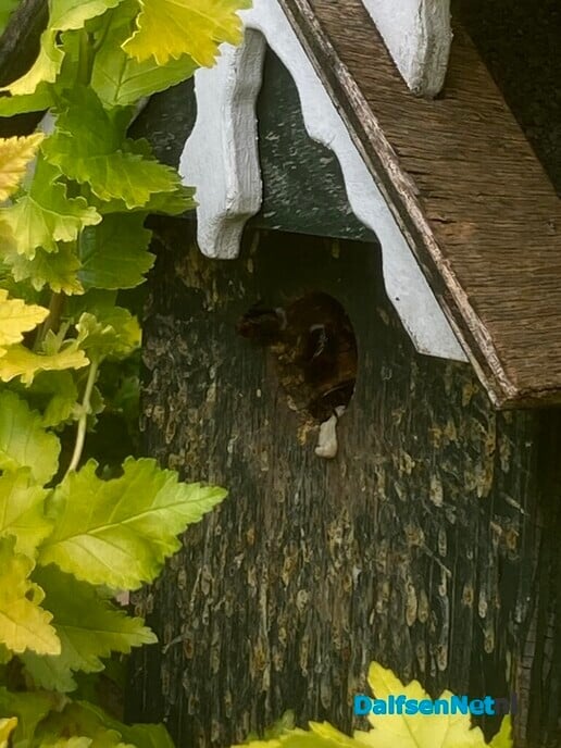 Bijzonder volkje - Foto: Ingezonden foto