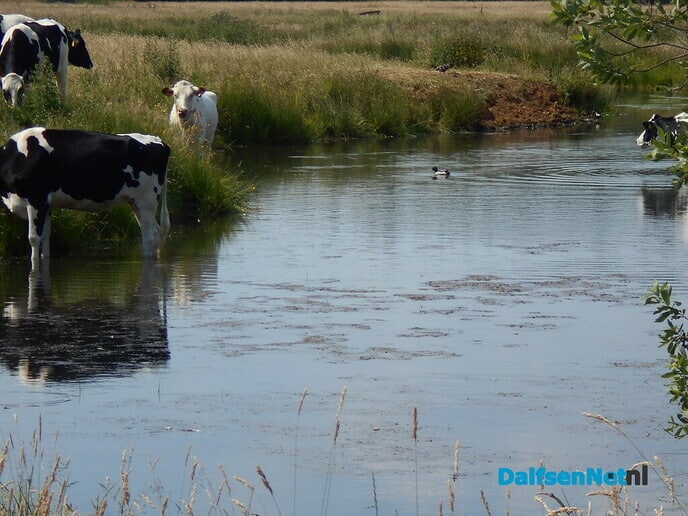 Pootje baden