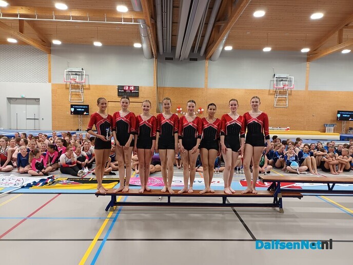 Turnsters gym. ver. Nieuwleusen Nederlands kampioen - Foto: Ingezonden foto