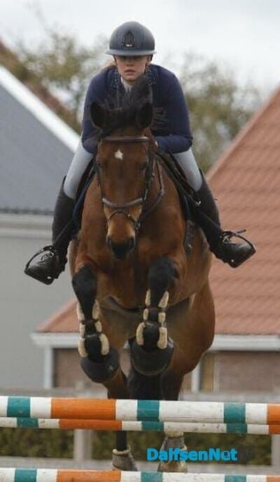 Sportverslag Paardensportvereniging Lemelerveld - Foto: Ingezonden foto