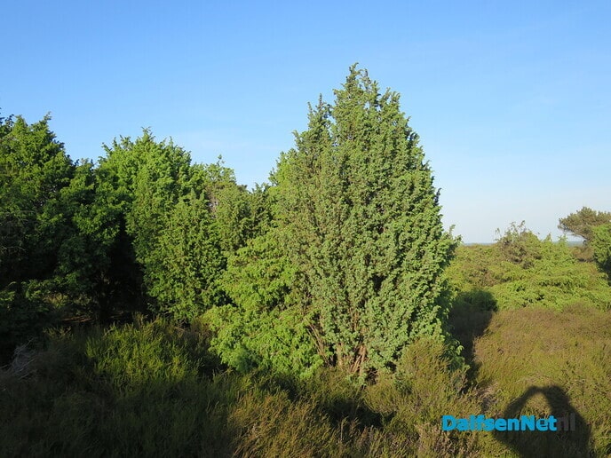 Slot-excursie heideherstel Lemelerberg druk bezocht - Foto: Wim