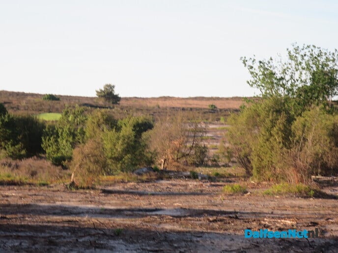 Slot-excursie heideherstel Lemelerberg druk bezocht - Foto: Wim