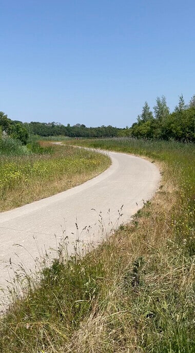 Stressklachten? Ga wandelen!